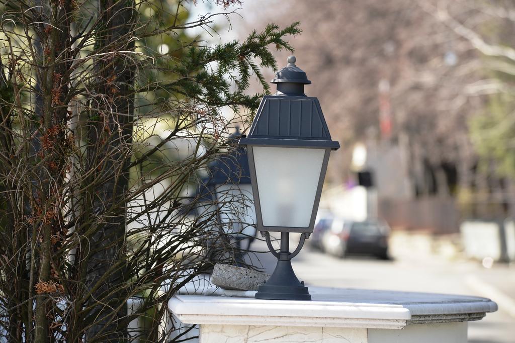 Villa Jelenaベオグラード エクステリア 写真